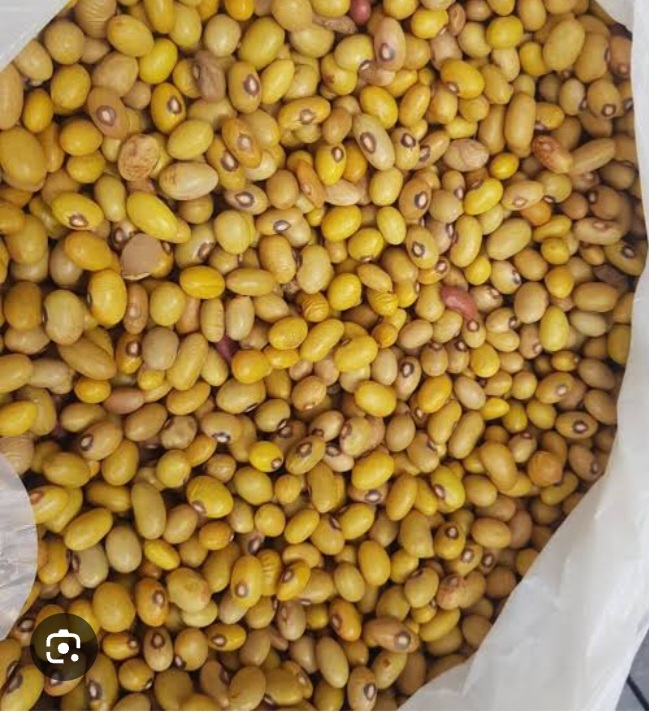 MADESU BIL BIL 10 Kg